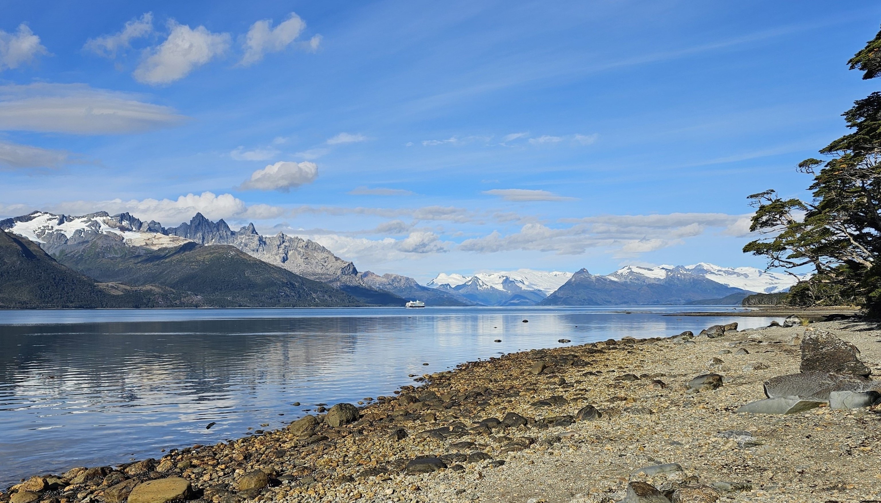 Australis
